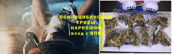 mdpv Воткинск