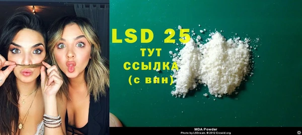 гидра Гатчина
