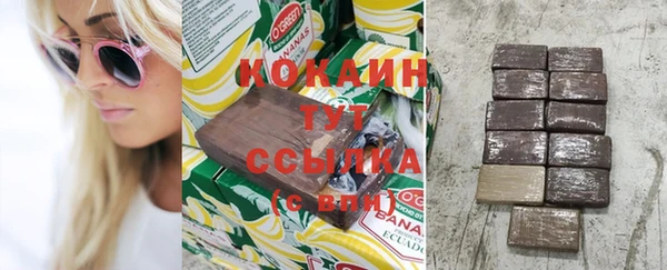 гидра Гатчина