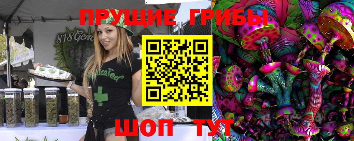 Псилоцибиновые грибы ЛСД  купить закладку  Псилоцибиновые грибы Cubensis  Котлас  Вход с VPN 