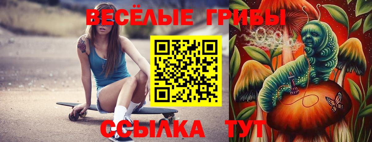 Галлюциногенные грибы мухоморы Котлас